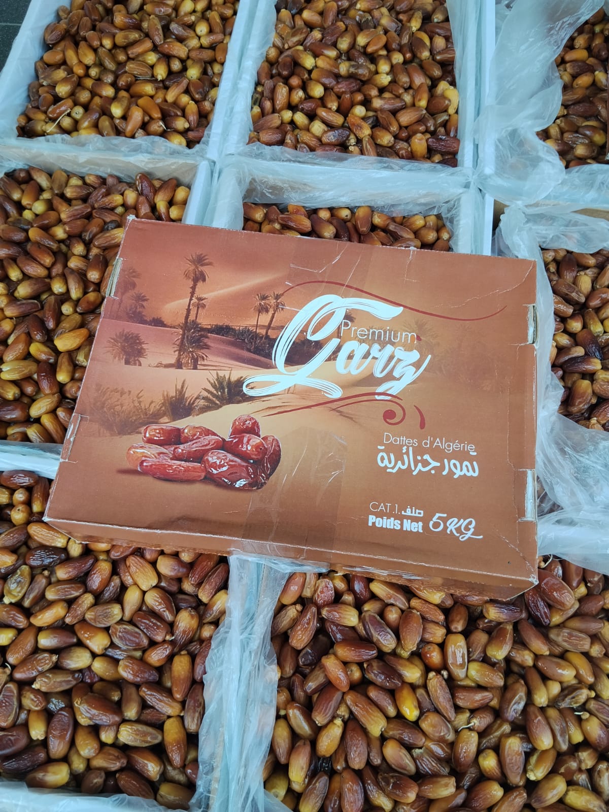 KURMA TUNIS MADU (5kg)