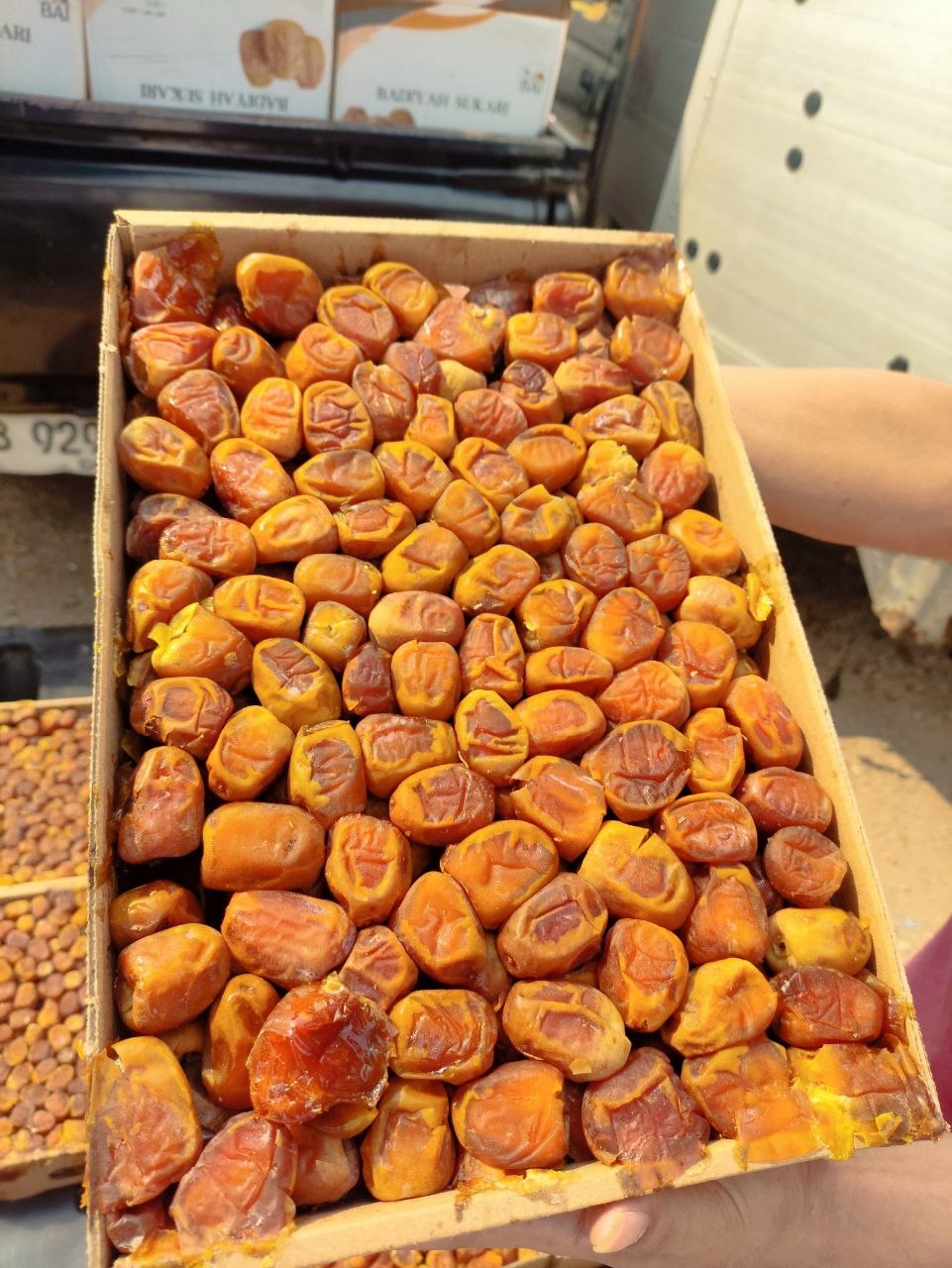 SUKARI AL QOSIM (3kg)